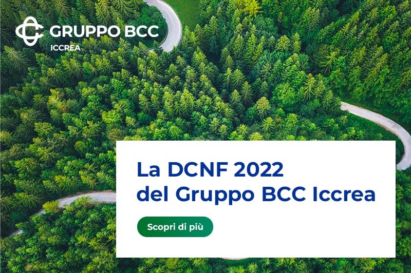 DCNF 2022