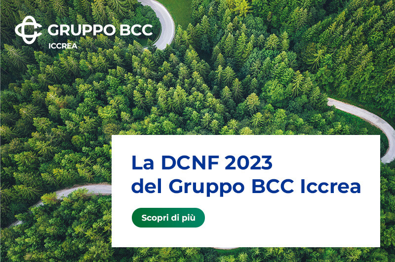 DCNF 2022