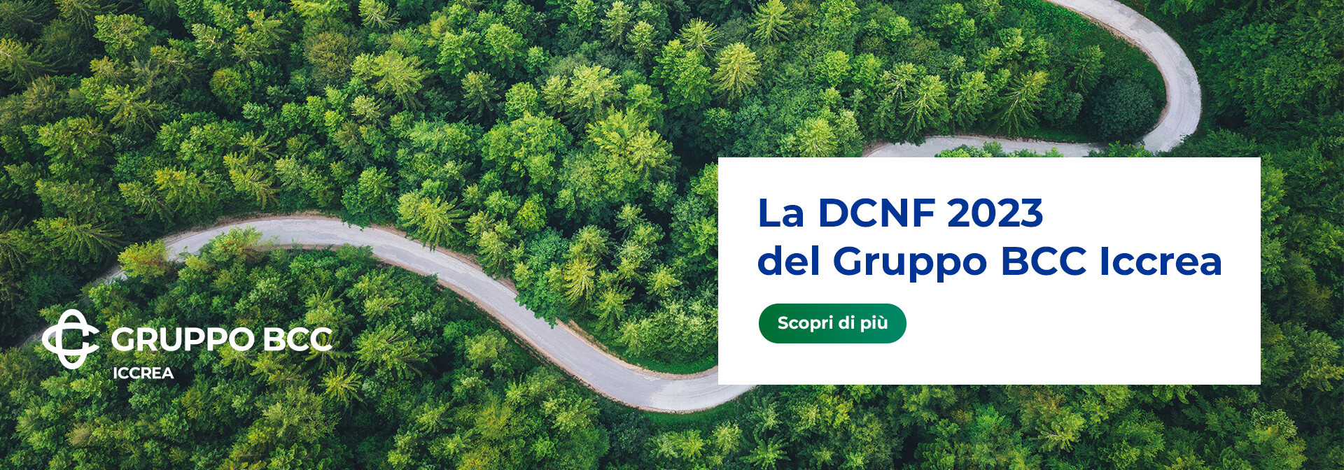 DCNF 2022