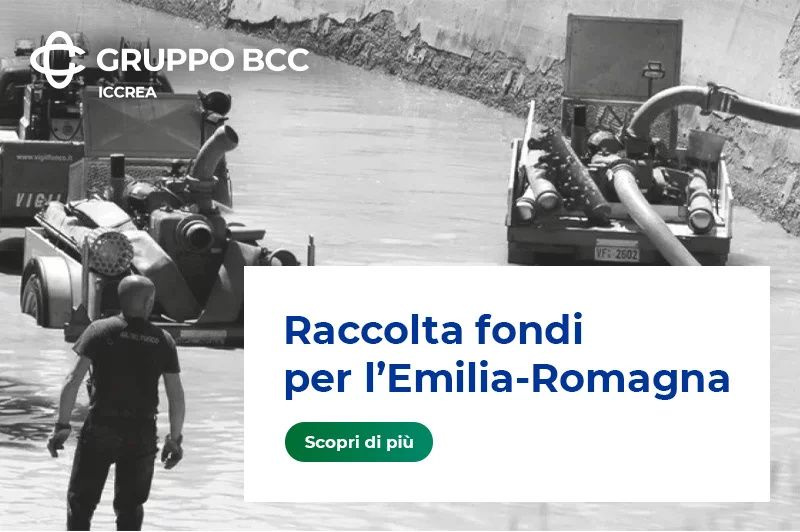 Raccolta Fondi per l'Emilia-Romagna