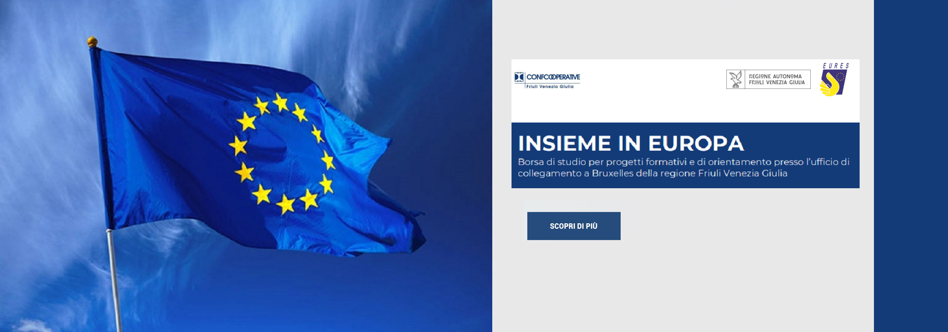 insieme in europa 2021-2022