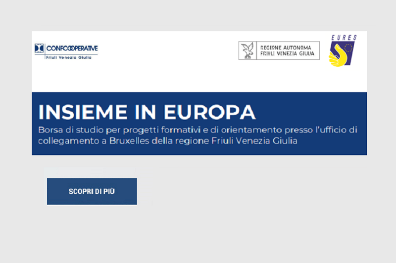 insieme in europa 2021-2022