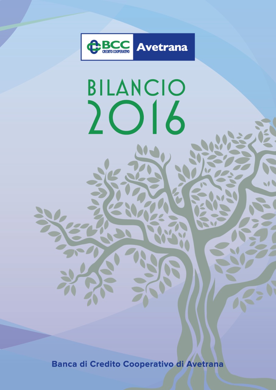Foto copertina Bilancio 2016