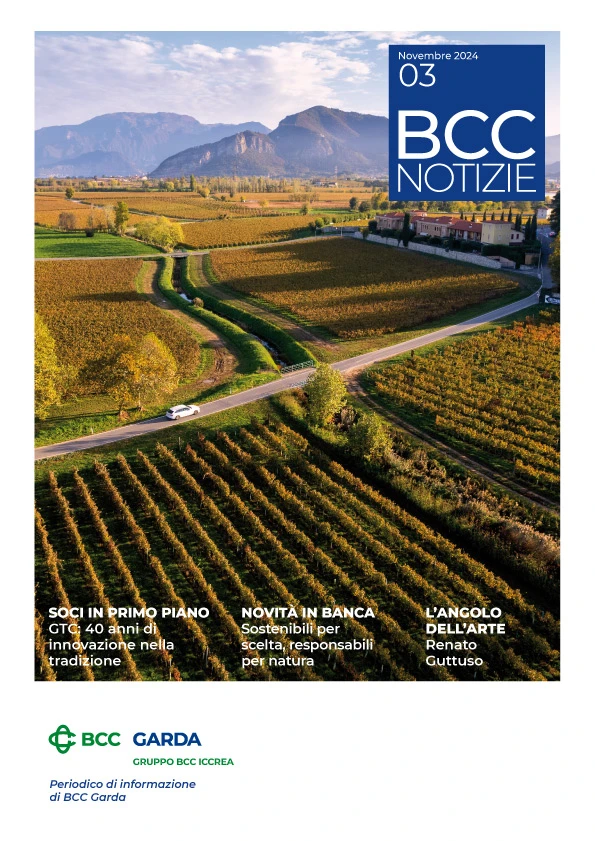 Bcc Notizie Cover novembre 24