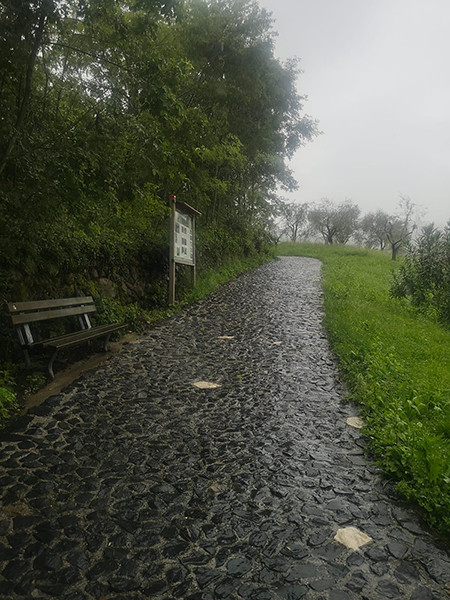 Tappa 7- Muro della Tisa