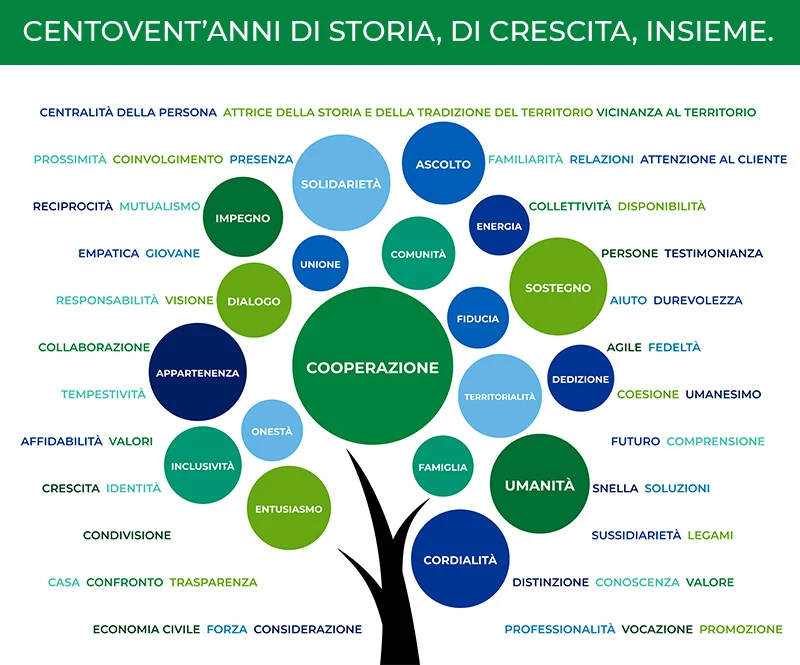albero