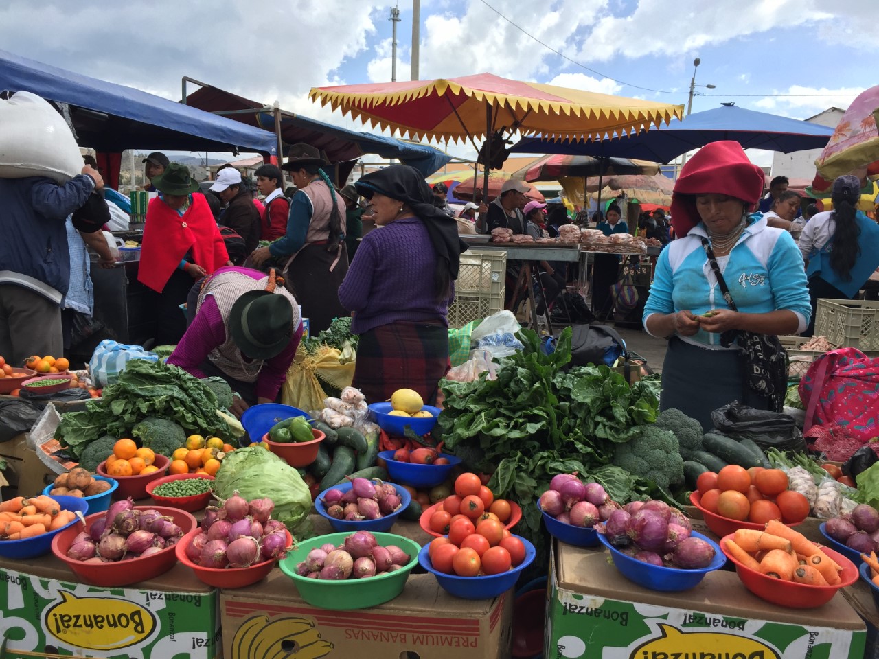Ecuador, sostegno ai piccoli produttori cooperativi