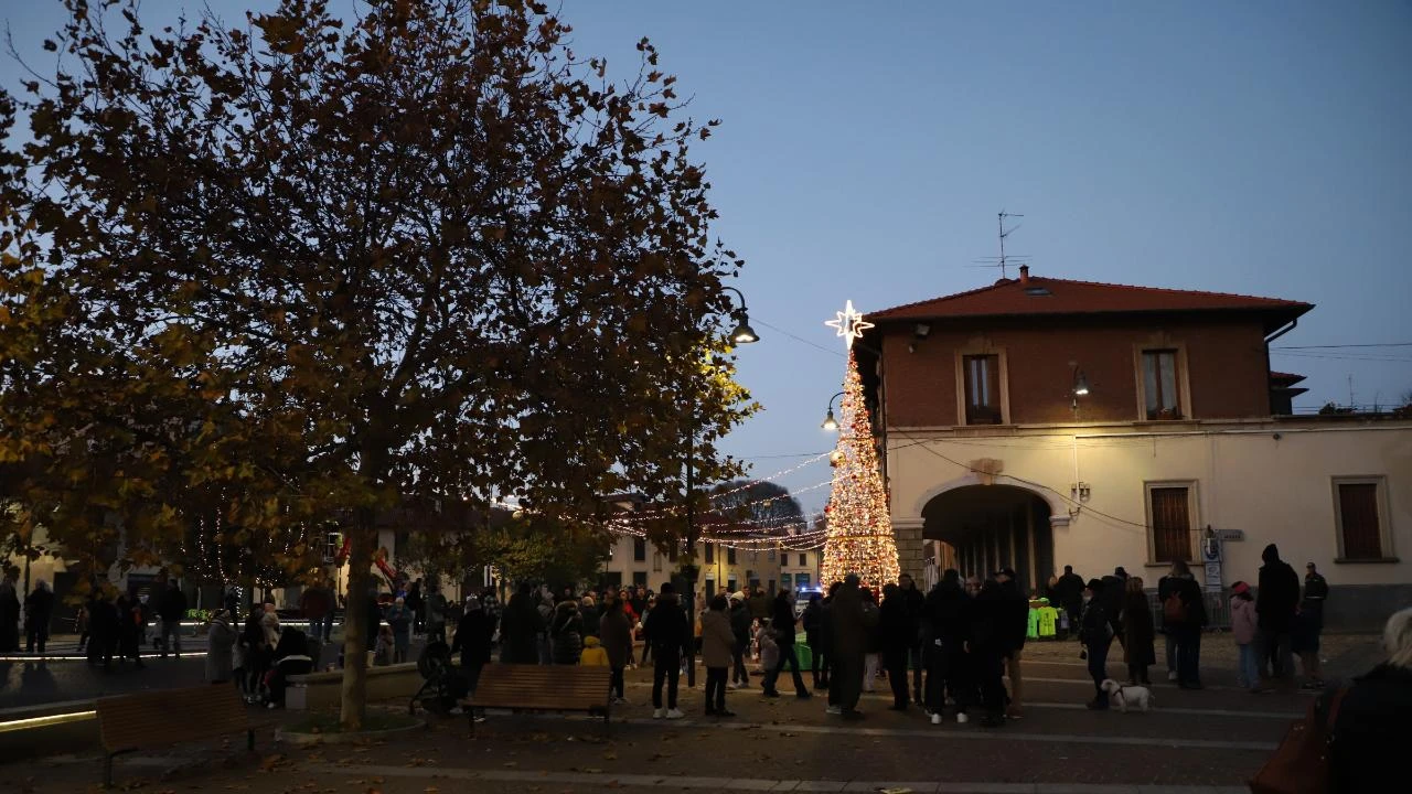 albero di natale 2024
