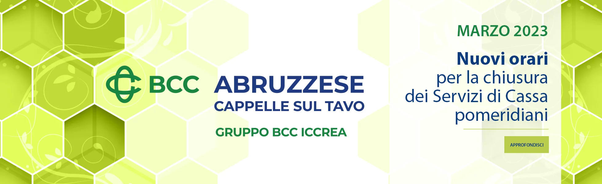 bccsportello_2023.png