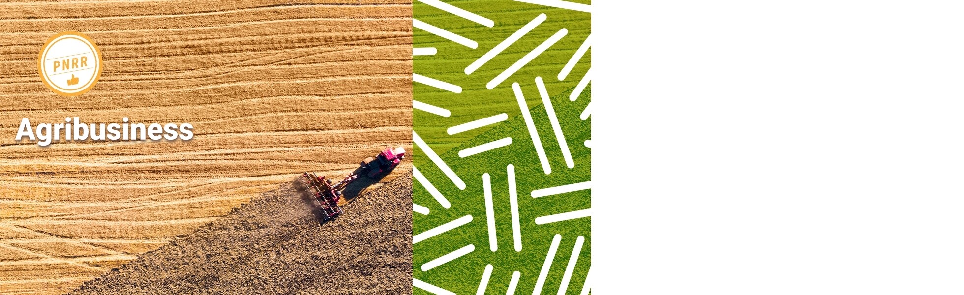 Banner Agribusiness responsive