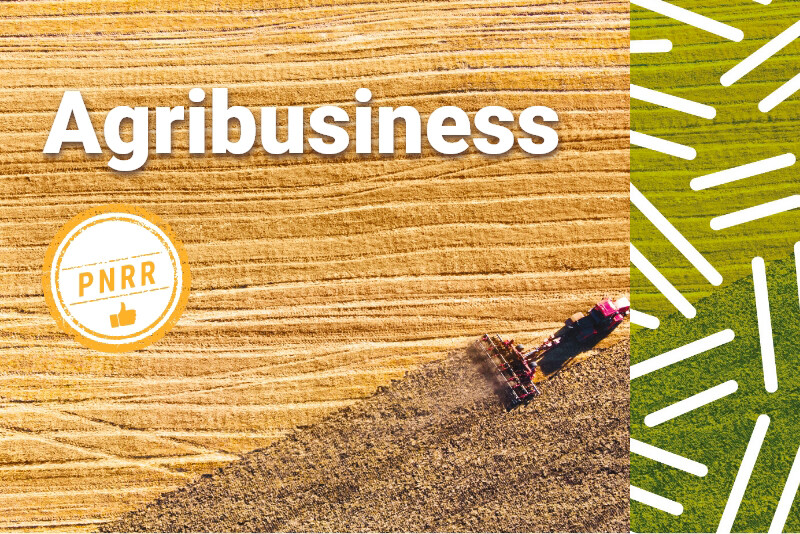 Banner Agribusiness responsive