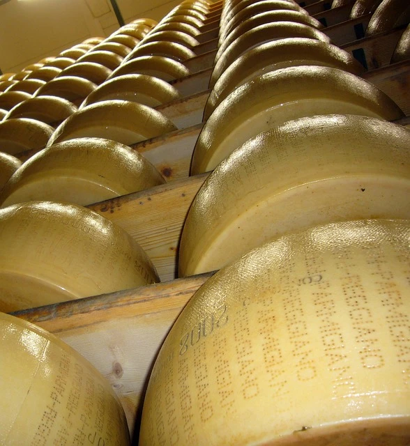 Parmigiano Foto di joakant da Pixabay