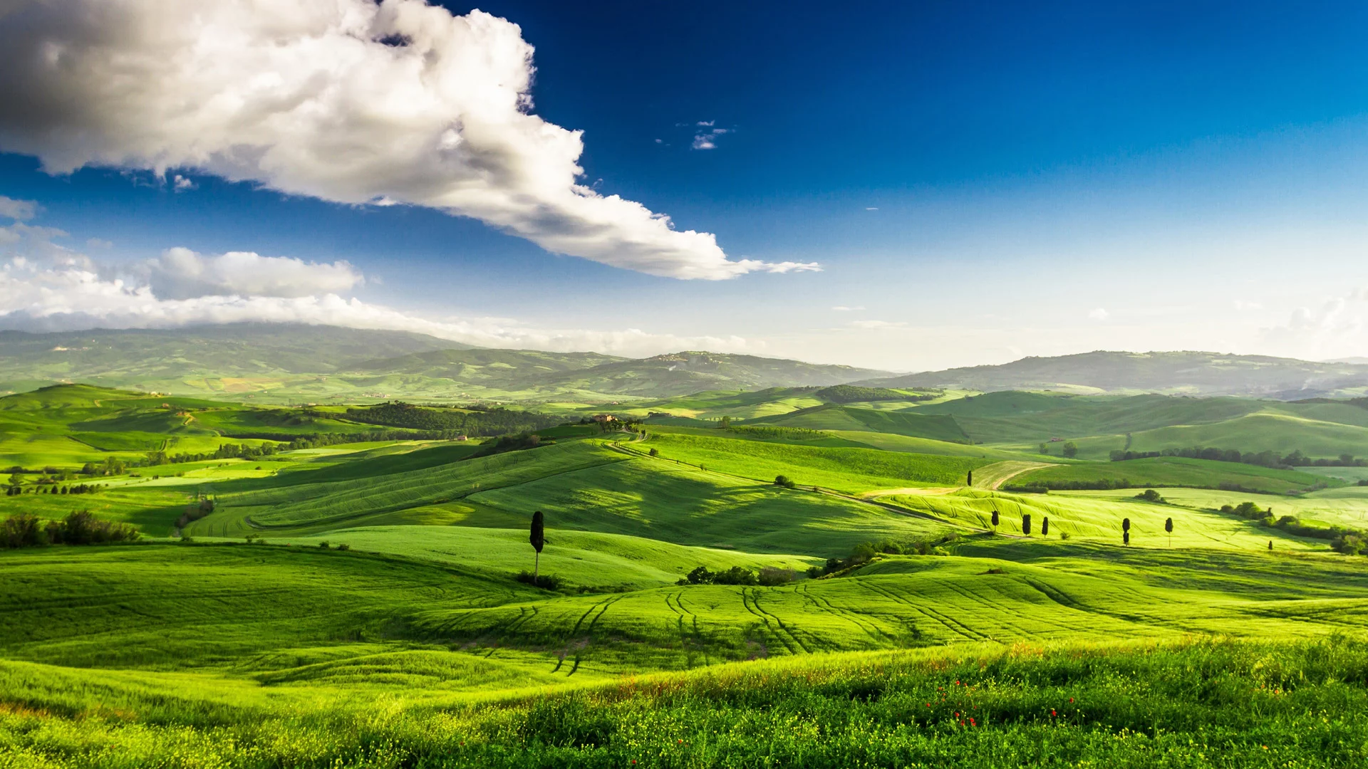 Campagna toscana verde