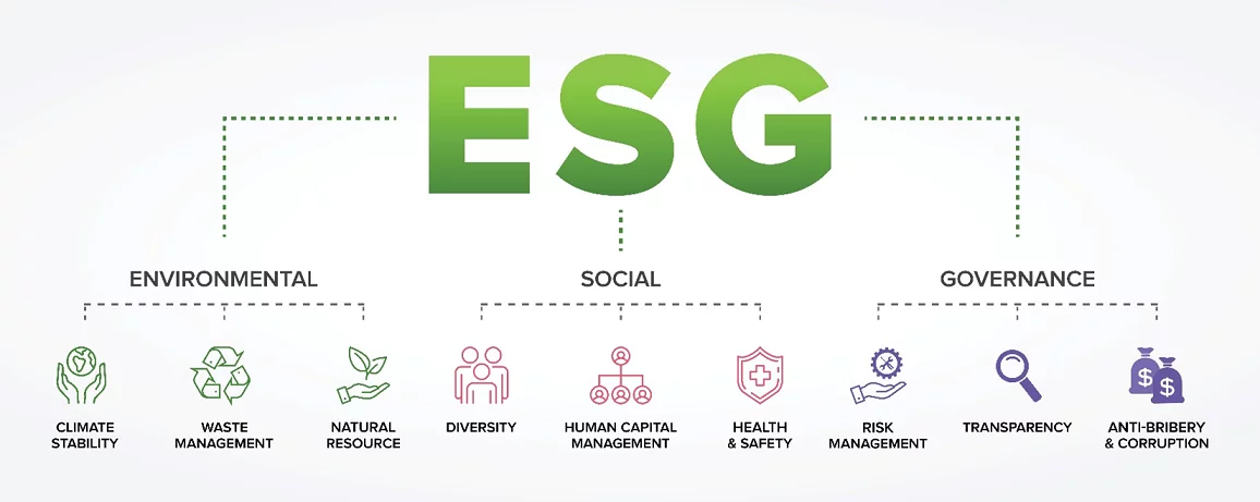 Banner sito ESG