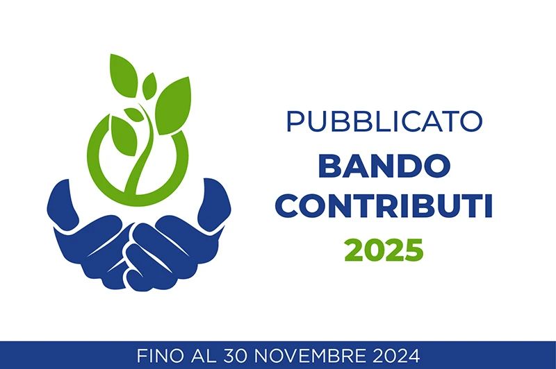 bando_contributi 2025_800x532