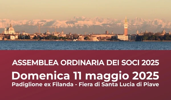 Assemblea Soci 2025 - banner_DEM