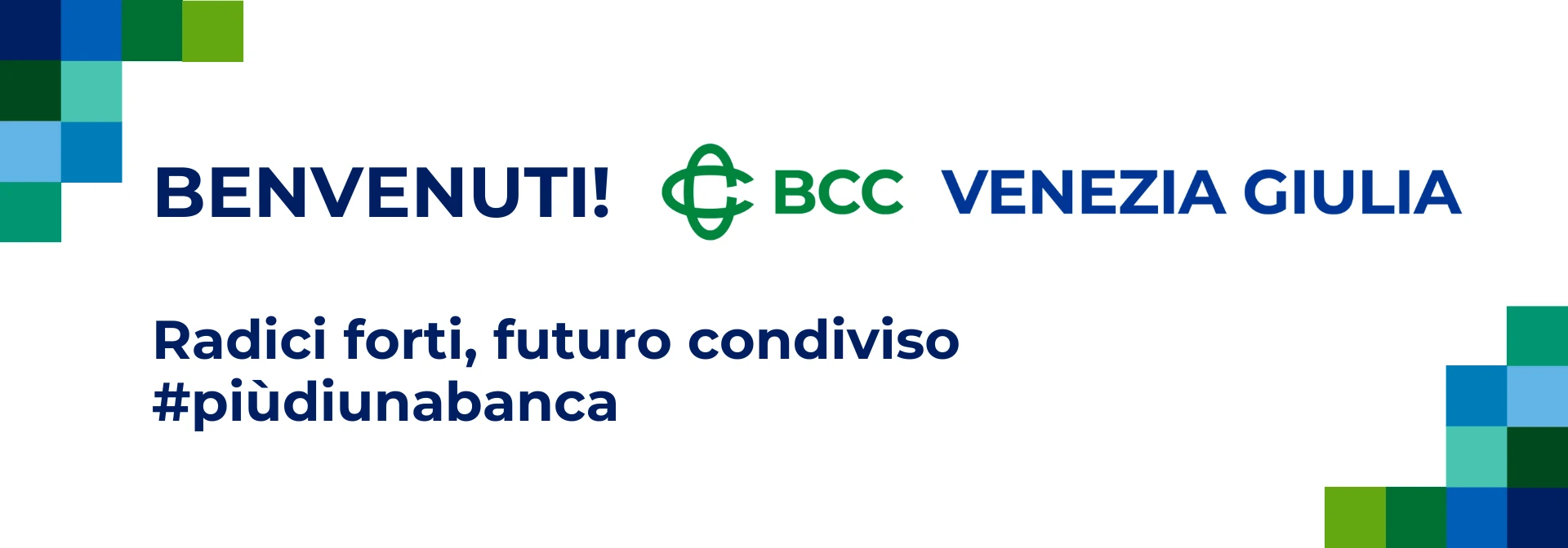 Abbonati pallacanestro Trieste